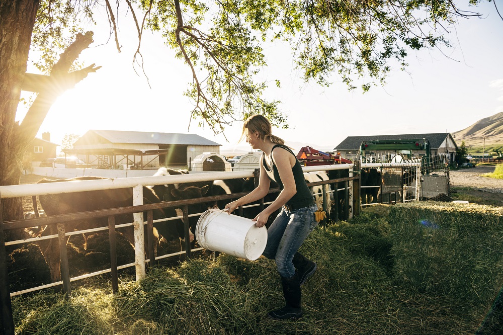 agriculture-courses-melbourne-melbourne-polytechnic